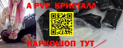 СК Беслан
