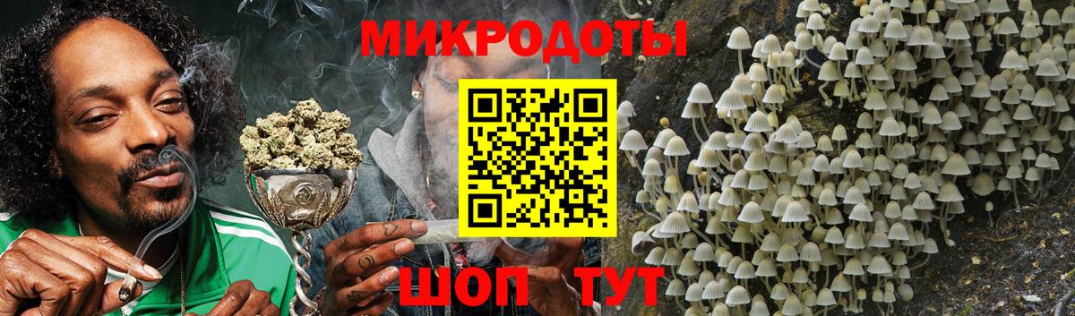 Псилоцибиновые грибы Psilocybe  Галлюциногенные грибы GOLDEN TEACHER  Вход с VPN  Баксан 