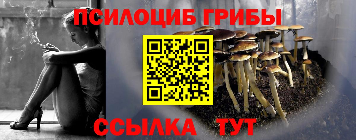 Псилоцибиновые грибы Magic Shrooms Баксан